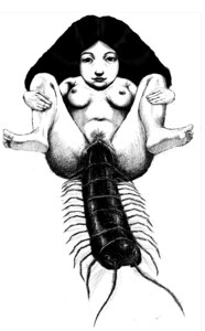 Rating: Explicit Score: 0 Tags: arthropod centipede female female_on_feral feral feral_on_female feral_on_human human human_on_feral interspecies meme rule34 tagme zoophilia User: bunchy7s Rating: Explicit Score: 0 Tags: arthropod centipede female female_on_feral feral feral_on_female feral_on_human human human_on_feral interspecies meme rule34 tagme zoophilia User: bunchy7s