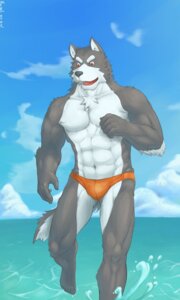 Rating: Questionable Score: 0 Tags: 2010 3:5 abs anthro athletic biceps big_muscles biped black_nose bulge canid canine canis chest_tuft clothed clothing cloud e621 fangs fur grey_body grey_fur hi_res kazel male mammal muscular muscular_anthro muscular_male open_mouth outside pecs pose red_eyes sea seaside sky solo speedo standing swimwear teeth tongue topless tuft water wet wolf User: bunchy7s