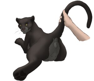 Rating: Explicit Score: 0 Tags: anatomically_correct anatomically_correct_genitalia anatomically_correct_vulva animal_genitalia animal_vulva anus disembodied_hand duo e621 felid feline_genitalia feline_vulva female feral genitals human kisu looking_back lying mammal melanistic my_dear_pantheress nipples pantherine perineum raised_tail rear_view simple_background solo_focus tail tail_anus tail_pull tasha_(my_dear_pantheress) vulva whiskers white_background User: bunchy7s Rating: Explicit Score: 0 Tags: anatomically_correct anatomically_correct_genitalia anatomically_correct_vulva animal_genitalia animal_vulva anus disembodied_hand duo e621 felid feline_genitalia feline_vulva female feral genitals human kisu looking_back lying mammal melanistic my_dear_pantheress nipples pantherine perineum raised_tail rear_view simple_background solo_focus tail tail_anus tail_pull tasha_(my_dear_pantheress) vulva whiskers white_background User: bunchy7s