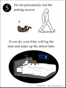 Rating: Safe Score: 0 Tags: ambiguous_gender bed comic digital_media_(artwork) domestic_cat domestic_pet duo e621 english_text eyes_closed felid feline felis feral furniture how-to humor male mammal meme night quadruped question_mark simple_background sleeping tail text the_more_you_know the_oatmeal white_background User: bunchy7s