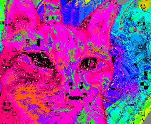 Rating: Safe Score: 0 Tags: :3 acid_trip alpha_channel ambiguous_gender animated animated_gif colorful_theme domestic_cat e621 epilepsy_warning felid feline felis feral grandfathered_content looking_at_viewer low_res mammal psychedelic rainbow raised_tail short_playtime simple_background smile solo sparklefur spinning tail timb transparent_background what User: bunchy7s Rating: Safe Score: 0 Tags: :3 acid_trip alpha_channel ambiguous_gender animated animated_gif colorful_theme domestic_cat e621 epilepsy_warning felid feline felis feral grandfathered_content looking_at_viewer low_res mammal psychedelic rainbow raised_tail short_playtime simple_background smile solo sparklefur spinning tail timb transparent_background what User: bunchy7s
