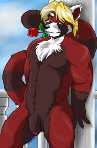 Rating: Explicit Score: 0 Tags: 2009 ailurid anthro artimas balls biped blonde_hair blue_eyes chest_tuft e621 flaccid flower foreskin fur genitals hair humanoid_genitalia humanoid_penis male mammal nude penis pinup plant pose red_body red_fur red_panda rose_(flower) solo tail tuft User: bunchy7s