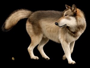 Rating: Explicit Score: 0 Tags: amber_eyes animal_genitalia barely_visible_genitalia barely_visible_penis black_background black_claws black_lips black_nose black_pawpads canid canine canis claws digitigrade e621 ebon_lupus feral fluffy fluffy_tail fully_sheathed fur genitals lips looking_away looking_back male mammal multicolored_body multicolored_fur multicolored_tail northwestern_wolf pawpads paws penis sheath simple_background solo tail wolf User: bunchy7s
