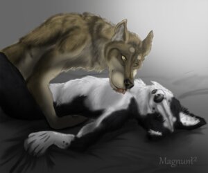 Rating: Questionable Score: 0 Tags: anthro bed border border_collie canid canine canis collie domestic_dog duo e621 fur furniture herding_dog licking magnum_(artist) male mammal pastoral_dog sheepdog tongue tongue_out wolf User: bunchy7s Rating: Questionable Score: 0 Tags: anthro bed border border_collie canid canine canis collie domestic_dog duo e621 fur furniture herding_dog licking magnum_(artist) male mammal pastoral_dog sheepdog tongue tongue_out wolf User: bunchy7s