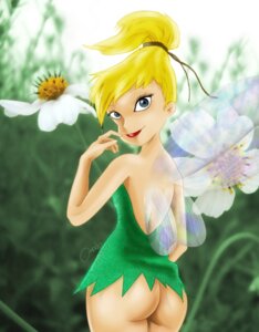 Rating: Questionable Score: 0 Tags: amadis33 disney disney_fairies female peter_pan_(disney) rule34 solo tagme tinker_bell User: bunchy7s