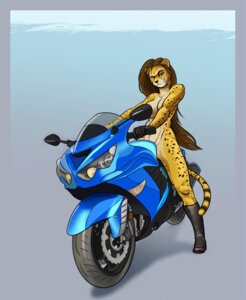 Rating: Questionable Score: 0 Tags: 2012 adonis anthro biker boots breasts brown_eyes censored cheetah clothing convenient_censorship e621 felid feline female footwear gloves hair handwear long_hair mammal motorcycle navel nude pose shoes simple_background smile solo spots tail teeth vehicle User: bunchy7s Rating: Questionable Score: 0 Tags: 2012 adonis anthro biker boots breasts brown_eyes censored cheetah clothing convenient_censorship e621 felid feline female footwear gloves hair handwear long_hair mammal motorcycle navel nude pose shoes simple_background smile solo spots tail teeth vehicle User: bunchy7s