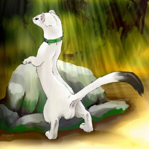 Rating: Explicit Score: 0 Tags: 1:1 anus backsack balls boulder butt collar detailed_background e621 feral forest fur genitals hi_res male mammal mustelid musteline nature outside plant presenting presenting_hindquarters rock selwyn solo stoat tail tail_anus tree true_musteline weasel weasely white_body white_fur User: bunchy7s