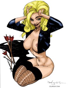 Rating: Explicit Score: 0 Tags: 1girls 2005 black_canary blonde_hair breasts dc dc_comics dinah_lance female female_only fishnet_stockings fishnets green_arrow_(series) green_eyes long_hair nipples rule34 solo stockings superheroine tagme User: bunchy7s Rating: Explicit Score: 0 Tags: 1girls 2005 black_canary blonde_hair breasts dc dc_comics dinah_lance female female_only fishnet_stockings fishnets green_arrow_(series) green_eyes long_hair nipples rule34 solo stockings superheroine tagme User: bunchy7s