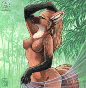 Rating: Questionable Score: 0 Tags: 2007 anthro breasts canid canine casual_nudity e621 female forest green_eyes jungle kacey mammal maned_wolf nipples nude outside plant pose solo tail tasteful_nudity translucent tree User: bunchy7s Rating: Questionable Score: 0 Tags: 2007 anthro breasts canid canine casual_nudity e621 female forest green_eyes jungle kacey mammal maned_wolf nipples nude outside plant pose solo tail tasteful_nudity translucent tree User: bunchy7s
