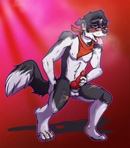 Rating: Explicit Score: 0 Tags: animal_genitalia animal_penis anthro ascot balls biped black_body black_fur black_hair blush bodily_fluids border_collie brown_eyes byourii canid canine canine_genitalia canine_penis canis collie digitigrade dizfoley domestic_dog e621 erection eyewear fur genital_fluids genitals glasses hair half-closed_eyes herding_dog knot male mammal masturbation narrowed_eyes nude pastoral_dog penile penile_masturbation penis precum red_penis saliva shadow sheepdog solo standing tongue tongue_out transformation white_body white_fur User: bunchy7s