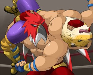 Rating: Questionable Score: 0 Tags: 2014 5_fingers abs angry animal_head animal_humanoid athletic avian beak biceps big_muscles bird boots bottomwear bulge clothed clothing crossover duo e621 elbow_pads fangs fatal_fury feathers felid fight fighting_ring fingers footwear for_a_head frown fur garou:_mark_of_the_wolves glistening gloves green_eyes grey_eyes handwear human humanoid hybrid jaguar king king_(tekken) king_of_fighters maldu male mammal manly mask muscular muscular_male nipples open_mouth pantherine pants pecs pose ring royalty shadow sharp_teeth shoes snk spots spread_legs spreading standing struggling teeth tekken tight_clothing tizoc tongue topless wrestler wrestling wrestling_clothing yellow_body yellow_fur User: bunchy7s
