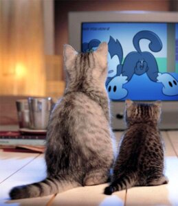 Rating: Explicit Score: 0 Tags: 8horns animaniacs anus being_watched bodily_fluids domestic_cat dot_warner e621 electronics english_text felid feline felis female feral genital_fluids genitals grandfathered_content group inkblot looking_at_another mammal masturbation pornography presenting presenting_vulva real rear_view shopped spread_legs spread_vulva spreading tail television text third-party_edit vaginal vaginal_fluids vaginal_masturbation vulva warner_brothers User: bunchy7s Rating: Explicit Score: 0 Tags: 8horns animaniacs anus being_watched bodily_fluids domestic_cat dot_warner e621 electronics english_text felid feline felis female feral genital_fluids genitals grandfathered_content group inkblot looking_at_another mammal masturbation pornography presenting presenting_vulva real rear_view shopped spread_legs spread_vulva spreading tail television text third-party_edit vaginal vaginal_fluids vaginal_masturbation vulva warner_brothers User: bunchy7s