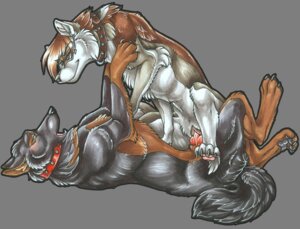 Rating: Explicit Score: 0 Tags: 2010 alpha_channel anatomically_correct canine canine_penis canine_pussy collar domination ear_piercing earring female femdom feral furry furry_only knot male non-anthro on_back penetration penis piercing pussy rule34 sex spread_legs spreading straight transparent_background vaginal_penetration wielder User: bunchy7s Rating: Explicit Score: 0 Tags: 2010 alpha_channel anatomically_correct canine canine_penis canine_pussy collar domination ear_piercing earring female femdom feral furry furry_only knot male non-anthro on_back penetration penis piercing pussy rule34 sex spread_legs spreading straight transparent_background vaginal_penetration wielder User: bunchy7s