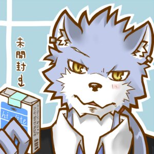 Rating: Safe Score: 0 Tags: 1:1 anthro blue_background canid canine canis cigarette clothed clothing e621 ear_piercing front_view fur grey_body grey_fur headshot_portrait holding_object icon inner_ear_fluff japanese_text looking_at_viewer male mammal otoutama outline piercing portrait simple_background solo text toony translated tuft white_body white_fur wolf yellow_eyes User: bunchy7s