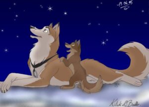Rating: Safe Score: 0 Tags: 2005 balto balto_(series) canid canine canis domestic_dog duo e621 feral grey_eyes husky hybrid kitok looking_up lying male mammal night nordic_sled_dog outside pample sky snow snowing spitz star starry_sky tail universal_studios winter wolf wolfdog yellow_eyes young young_feral User: bunchy7s
