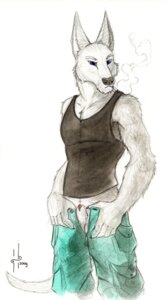 Rating: Explicit Score: 0 Tags: animal_genitalia anthro balls biped blue_eyes canid canine canis clothing e621 flaccid genitals hi_res hufnaar looking_at_viewer male mammal penis sheath simple_background solo standing tail undressing wolf User: bunchy7s