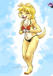 Rating: Questionable Score: 0 Tags: 2008 3_toes anthro barefoot bikini bird_dog blonde_hair blush bra breast_fondling breast_play breasts canid canine canis clothed clothing cocker_spaniel domestic_dog e621 feet female fondling fur hair hand_on_breast herpestid hunting_dog hybrid mammal mecharm mongoose nintendo plantigrade pokeball pokeball_bra pokeball_clothing pokeball_underwear pokemon skimpy solo spaniel standard_pokeball swimwear tail tight_clothing toes two-piece_swimsuit underwear vap_(vaporotem) yellow_body yellow_fur User: bunchy7s Rating: Questionable Score: 0 Tags: 2008 3_toes anthro barefoot bikini bird_dog blonde_hair blush bra breast_fondling breast_play breasts canid canine canis clothed clothing cocker_spaniel domestic_dog e621 feet female fondling fur hair hand_on_breast herpestid hunting_dog hybrid mammal mecharm mongoose nintendo plantigrade pokeball pokeball_bra pokeball_clothing pokeball_underwear pokemon skimpy solo spaniel standard_pokeball swimwear tail tight_clothing toes two-piece_swimsuit underwear vap_(vaporotem) yellow_body yellow_fur User: bunchy7s