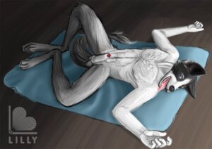 Rating: Explicit Score: 0 Tags: 2013 animal_genitalia anthro biped border_collie canid canine canis collie domestic_dog e621 genitals herding_dog looking_at_viewer lounging lying male mammal nude on_back pastoral_dog penis penis_tip presenting sheath sheepdog solo spread_legs spreading the_librarian User: bunchy7s
