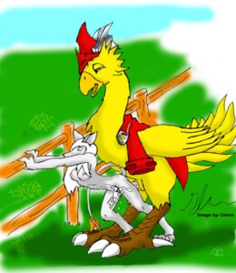 Rating: Explicit Score: 0 Tags: anthro chocobo female feral_on_anthro final_fantasy final_fantasy_ix freya_crescent furry glenn male rule34 sex straight_hair tagme User: bunchy7s