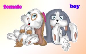 Rating: Explicit Score: 0 Tags: accessory anatomically_inaccurate anatomically_inaccurate_pawpads animal_genitalia balls blue_eyes bow_(feature) bow_accessory bow_ribbon brown_body brown_fur domestic_rabbit duo e621 ear_bow female fully_sheathed fur genitals grey_body grey_fur hair_accessory hair_bow hair_ribbon hare hase jamster lagomorph leporid long_ears looking_at_viewer lop_rabbit male mammal oryctolagus pawpads paws rabbit ribbons sheath snuggelina snuggle_bunny unknown_artist white_body white_fur User: bunchy7s Rating: Explicit Score: 0 Tags: accessory anatomically_inaccurate anatomically_inaccurate_pawpads animal_genitalia balls blue_eyes bow_(feature) bow_accessory bow_ribbon brown_body brown_fur domestic_rabbit duo e621 ear_bow female fully_sheathed fur genitals grey_body grey_fur hair_accessory hair_bow hair_ribbon hare hase jamster lagomorph leporid long_ears looking_at_viewer lop_rabbit male mammal oryctolagus pawpads paws rabbit ribbons sheath snuggelina snuggle_bunny unknown_artist white_body white_fur User: bunchy7s