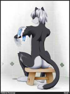 Rating: Questionable Score: 0 Tags: 2011 5_fingers anthro bathing biped butt canid canine casual_nudity digital_media_(artwork) dipstick_tail domestic_cat drain e621 eyes_closed felid feline felis fingers floor fur furniture gloves_(marking) grey_body grey_fur hair hi_res holding_object humanoid_hands inside leg_markings male mammal markings multicolored_tail nude plantigrade rear_view shiuk short_hair shower sitting socks_(marking) solo stool suds tail tail_markings tekkirai tile tile_floor tile_wall wall_(structure) white_body white_fur white_hair User: bunchy7s