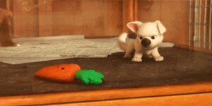 Rating: Safe Score: 0 Tags: 2:1 3d_(artwork) 3d_animation ambiguous_gender animated animated_gif bolt_(bolt) bolt_(film) canid canine canis carrot digital_media_(artwork) disney domestic_dog e621 feral food fur german_shepherd grandfathered_content herding_dog low_res mammal pastoral_dog plant pounce quadruped short_playtime solo tail unknown_artist vegetable white_body white_fur User: bunchy7s Rating: Safe Score: 0 Tags: 2:1 3d_(artwork) 3d_animation ambiguous_gender animated animated_gif bolt_(bolt) bolt_(film) canid canine canis carrot digital_media_(artwork) disney domestic_dog e621 feral food fur german_shepherd grandfathered_content herding_dog low_res mammal pastoral_dog plant pounce quadruped short_playtime solo tail unknown_artist vegetable white_body white_fur User: bunchy7s