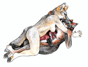 Rating: Explicit Score: 0 Tags: amagire anthro breasts canine closed_eyes cuddle female fox fur furry grey_fox kit_fox nude on_back plushie rule34 yuri User: bunchy7s
