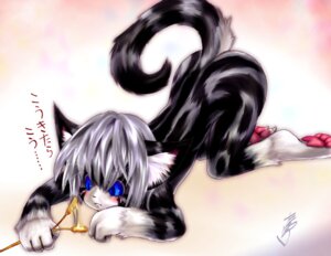 Rating: Safe Score: 0 Tags: 2007 all_fours anthro ass_up blue_eyes blush claws domestic_cat e621 facial_markings felid feline felis female fur grey_body grey_fur grey_hair hair head_markings japanese_text karin_(tetetor-oort) mammal markings pawpads paws playing raised_tail short_hair solo tail tetetor-oort text translation_request young young_anthro young_female User: bunchy7s