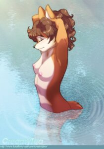 Rating: Questionable Score: 0 Tags: anthro breasts canid canine creamytea diana_(creamytea) e621 eyes_closed female fox hi_res mammal nipples nude solo water User: bunchy7s