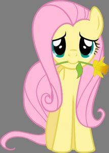 Rating: Safe Score: 0 Tags: 2013 alpha_channel blue_eyes digital_media_(artwork) e621 equid equine female feral flower fluttershy_(mlp) friendship_is_magic fur hair hasbro horse long_hair looking_at_viewer mammal my_little_pony pink_hair plant pony quadruped simple_background solo transparent_background yellow_body yellow_fur zacatron94 User: bunchy7s Rating: Safe Score: 0 Tags: 2013 alpha_channel blue_eyes digital_media_(artwork) e621 equid equine female feral flower fluttershy_(mlp) friendship_is_magic fur hair hasbro horse long_hair looking_at_viewer mammal my_little_pony pink_hair plant pony quadruped simple_background solo transparent_background yellow_body yellow_fur zacatron94 User: bunchy7s