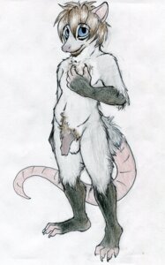 Rating: Explicit Score: 0 Tags: 2013 american_opossum anthro balls biped blue_eyes brown_hair e621 flaccid foreskin fur genitals hair looking_at_viewer male mammal marsupial navel nude penis ruaidri solo standing tail virginia_opossum white_body white_fur User: bunchy7s Rating: Explicit Score: 0 Tags: 2013 american_opossum anthro balls biped blue_eyes brown_hair e621 flaccid foreskin fur genitals hair looking_at_viewer male mammal marsupial navel nude penis ruaidri solo standing tail virginia_opossum white_body white_fur User: bunchy7s