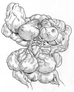 Rating: Explicit Score: 0 Tags: abs extreme_muscles female flex hyper_muscles monochrome muscles muscular nude rule34 veins User: bunchy7s Rating: Explicit Score: 0 Tags: abs extreme_muscles female flex hyper_muscles monochrome muscles muscular nude rule34 veins User: bunchy7s