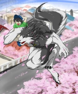 Rating: Safe Score: 0 Tags: anthro canid canine canis cherry_blossom clothing collar duo e621 flower fur grey_body grey_fur hat headgear headwear human male mammal muscular plant prunus_(flower) red_eyes shirt size_difference suruga tail topwear wolf young User: bunchy7s Rating: Safe Score: 0 Tags: anthro canid canine canis cherry_blossom clothing collar duo e621 flower fur grey_body grey_fur hat headgear headwear human male mammal muscular plant prunus_(flower) red_eyes shirt size_difference suruga tail topwear wolf young User: bunchy7s