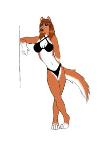 Rating: Safe Score: 0 Tags: anthro bikini blue_eyes brown_body brown_fur brown_hair canid canine clothed clothing e621 female fur hair hi_res leaning mammal simple_background skimpy solo swimwear tail tight_clothing two-piece_swimsuit unknown_artist white_background User: bunchy7s