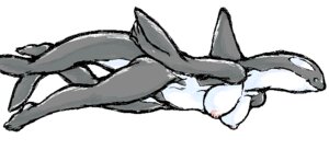 Rating: Explicit Score: 0 Tags: aliasing anthro aquatic arm_fin barefoot biped breasts cetacean digital_media_(artwork) dolphin dorsal_fin e621 feet female fin genitals grey_body grey_skin mammal mutabouru nipples nude oceanic_dolphin oekaki orca side_view simple_background sketch smile solo swimming tail tail_fin toothed_whale vulva white_background white_body white_skin User: bunchy7s