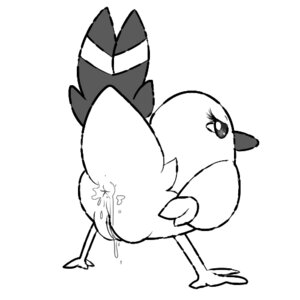 Rating: Explicit Score: 0 Tags: 1:1 anus avian avian_butt beak bird dripping e621 feathers female feral fletchling generation_6_pokemon genitals low_res monochrome nintendo plump_labia pokemon pokemon_(species) quagsireofvp raised_tail simple_background solo tail vulva white_background User: bunchy7s