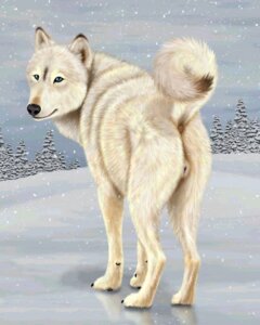 Rating: Explicit Score: 0 Tags: 4:5 anatomically_correct anatomically_correct_genitalia anatomically_correct_vulva animal_genitalia animal_vulva anus arctic_wolf blue_eyes butt canid canine canine_genitalia canine_vulva canis cloud detailed_background e621 ebon_lupus female feral forest fur genitals looking_at_viewer mammal outside plant presenting presenting_hindquarters raised_tail sky snow solo tail tree vulva white_body white_fur wolf wood User: bunchy7s Rating: Explicit Score: 0 Tags: 4:5 anatomically_correct anatomically_correct_genitalia anatomically_correct_vulva animal_genitalia animal_vulva anus arctic_wolf blue_eyes butt canid canine canine_genitalia canine_vulva canis cloud detailed_background e621 ebon_lupus female feral forest fur genitals looking_at_viewer mammal outside plant presenting presenting_hindquarters raised_tail sky snow solo tail tree vulva white_body white_fur wolf wood User: bunchy7s
