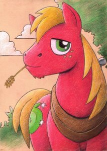 Rating: Safe Score: 0 Tags: big_eyes big_macintosh_(mlp) cloud cutie_mark day detailed_background draft_horse drake_fenwick e621 earth_pony equid equine feral freckles friendship_is_magic front_view fur green_eyes hair hasbro hay horse looking_at_viewer male mammal mouth_hold my_little_pony nude orange_hair outside plant plow_yoke pony red_body red_fur smile solo toony tree wood User: bunchy7s