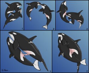 Rating: Explicit Score: 0 Tags: 2009 anatomically_correct anatomically_correct_genitalia anatomically_correct_penis anatomically_correct_vulva animal_genitalia animal_penis animal_vulva aquatic bodily_fluids cetacean cetacean_genitalia cetacean_penis cetacean_vulva comic cum dolorcin dolphin duo e621 erection female female_penetrated feral fully/fully_submerged fully_submerged genital_fluids genital_slit genitals male male/female male_penetrating male_penetrating_female mammal oceanic_dolphin orca penetration penile penile_penetration penis penis_in_vagina sex sex_in_water tapering_penis toothed_whale underwater underwater_sex vaginal vaginal_penetration vulva water User: bunchy7s