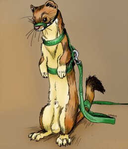 Rating: Explicit Score: 0 Tags: 2009 animal_genitalia balls bdsm e621 feral fully_sheathed genitals harness leash long-tailed_weasel male mammal mustelid musteline muzzle_(object) muzzled nude penis penis_tip sheath solo standing tail true_musteline weasel weasely User: bunchy7s Rating: Explicit Score: 0 Tags: 2009 animal_genitalia balls bdsm e621 feral fully_sheathed genitals harness leash long-tailed_weasel male mammal mustelid musteline muzzle_(object) muzzled nude penis penis_tip sheath solo standing tail true_musteline weasel weasely User: bunchy7s