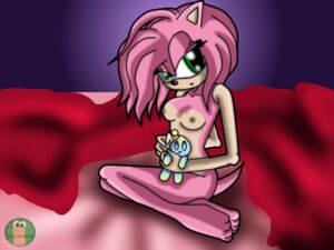Rating: Explicit Score: 0 Tags: amy_rose anthro breasts chao_(sonic) feet female green_eyes hedgehog nipples nude pink_hair rule34 sega sonic_(series) tail User: bunchy7s
