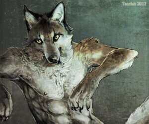 Rating: Safe Score: 0 Tags: anthro athletic athletic_anthro athletic_male canid canine canis clothed clothing e621 fur grey_body grey_fur male mammal nipples nukerooster solo topless wolf yellow_eyes User: bunchy7s Rating: Safe Score: 0 Tags: anthro athletic athletic_anthro athletic_male canid canine canis clothed clothing e621 fur grey_body grey_fur male mammal nipples nukerooster solo topless wolf yellow_eyes User: bunchy7s
