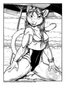 Rating: Questionable Score: 0 Tags: alleycat beach brian_mcpherson clothing detailed_background domestic_cat e621 english_text extinctioners felid feline felis female mammal monochrome one-piece_swimsuit outside sand seaside sky solo swimwear tail text User: bunchy7s