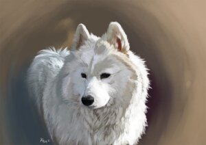 Rating: Safe Score: 0 Tags: ambiguous_gender black_nose canid canine canis domestic_dog e621 feral kogawa_kenji mammal nordic_sled_dog samoyed simple_background solo spitz User: bunchy7s Rating: Safe Score: 0 Tags: ambiguous_gender black_nose canid canine canis domestic_dog e621 feral kogawa_kenji mammal nordic_sled_dog samoyed simple_background solo spitz User: bunchy7s