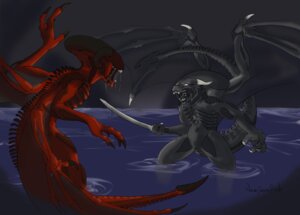 Rating: Questionable Score: 0 Tags: 2010 alien alien_(franchise) ambiguous_gender brood_guardian cheek_window dracoxeno duo e621 eyeless melee_weapon membrane_(anatomy) membranous_wings necrodrone necrodrone_(character) rithnok scalie signature sword tail weapon wings xenomorph User: bunchy7s Rating: Questionable Score: 0 Tags: 2010 alien alien_(franchise) ambiguous_gender brood_guardian cheek_window dracoxeno duo e621 eyeless melee_weapon membrane_(anatomy) membranous_wings necrodrone necrodrone_(character) rithnok scalie signature sword tail weapon wings xenomorph User: bunchy7s