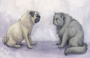 Rating: Safe Score: 0 Tags: 2010 ambiguous_gender canid canine canis domestic_cat domestic_dog duo e621 felid feline felis feral idess mammal molosser persian_cat pug small_molosser tail toy_dog User: bunchy7s