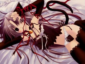 Rating: Explicit Score: 0 Tags: animal_ears bed bell cat_ears elbow_gloves female gloves panties pointy_chin pure_pure raspberry_dream ribbon rule34 sakurazawa_izumi tail thighhighs tobari tobari_(pure_pure) underwear wallpaper User: bunchy7s