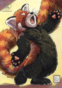 Rating: Safe Score: 0 Tags: 2008 abstract_background ailurid anthro black_body black_fur claws concert e621 eyes_closed finger_claws fur inner_ear_fluff kacey male mammal markings nude open_mouth orange_body orange_fur pawpads pink_pawpads red_body red_fur red_panda singing solo striped_markings striped_tail stripes tail tail_markings text tuft url whiskers white_body white_fur young young_anthro young_male User: bunchy7s