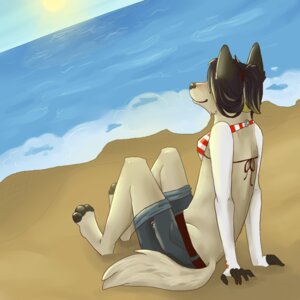 Rating: Questionable Score: 0 Tags: 1:1 anthro beach canid canine catfarts clothing detailed_background e621 female jordhan mammal outside sand sea seaside sky solo sun swimwear tail water wave User: bunchy7s