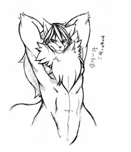 Rating: Safe Score: 0 Tags: anthro black_and_white canid canine e621 hair hands_behind_head heart_symbol japanese_text kemono legendz looking_at_viewer male mammal monochrome muscular muscular_anthro muscular_male mythological_canine mythological_creature mythology risuou simple_background sketch solo text translated werecanid werecanine werecreature werewolf white_background wolfy_the_werewolf User: bunchy7s